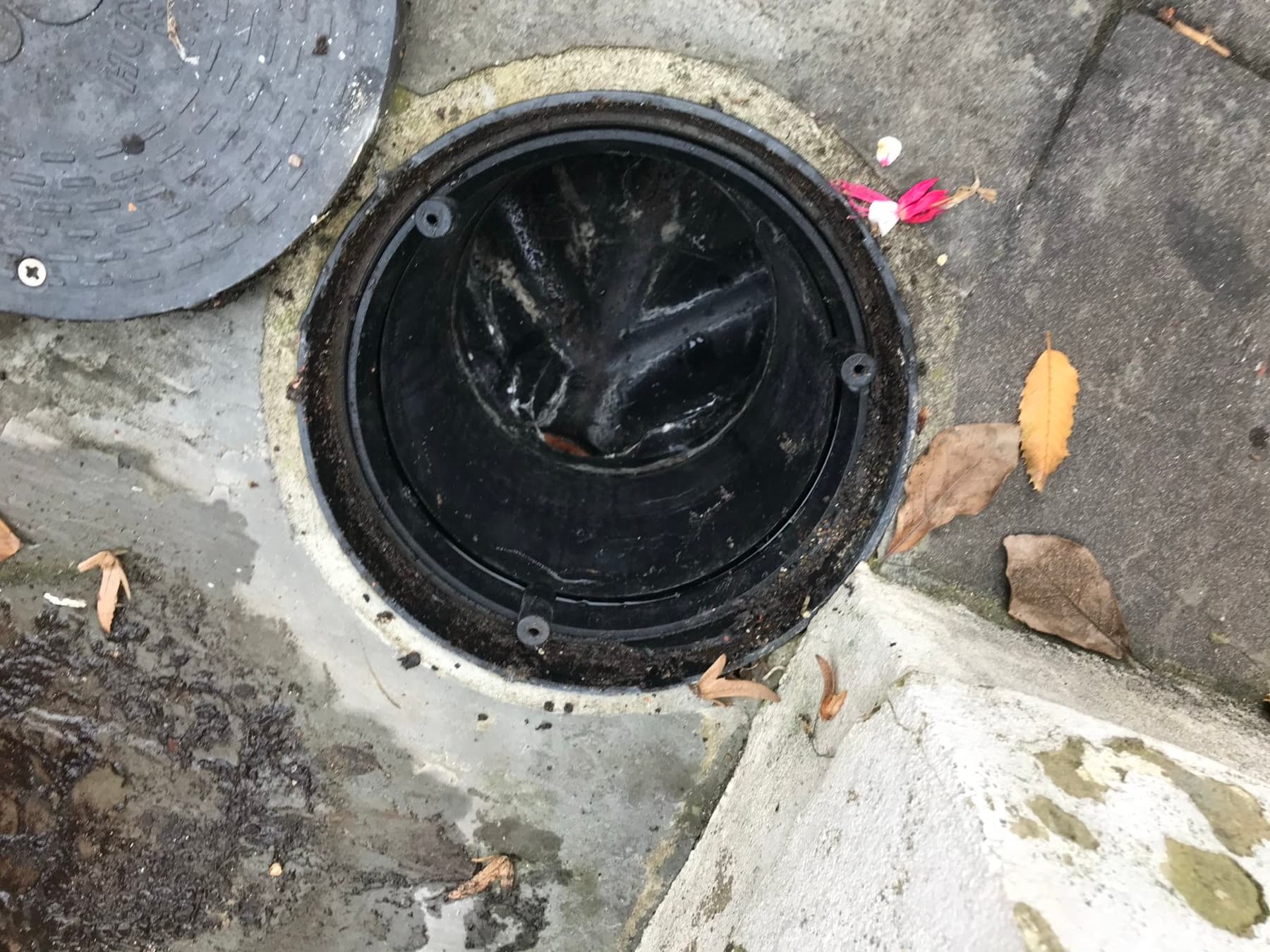 An outside gully with the cover lifted and the debris cleared by hand — drain unblocking in Andover, Marlborough and Hungerford