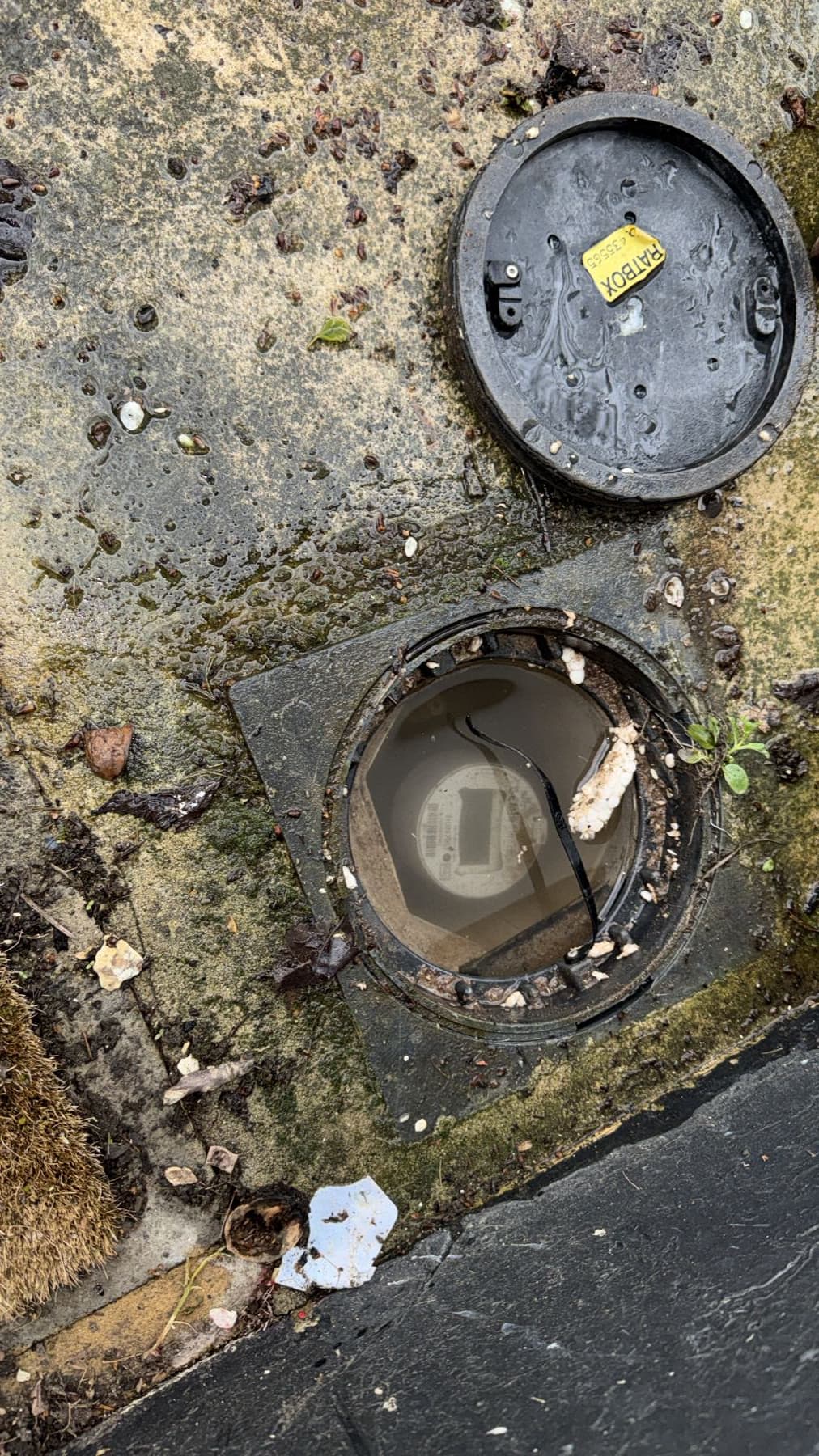 A water meter hatch with water sitting in it — a leak on the supply side