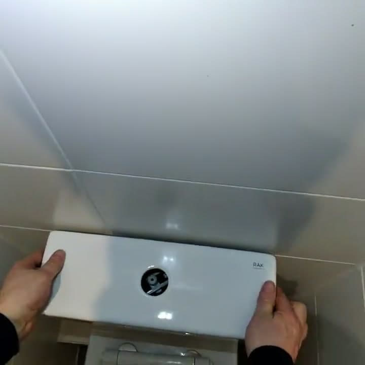 Professional flush valve replacement service in Andover, Marlborough and Hungerford - modern toilet cistern with dual flush button mechanism showing internal valve components