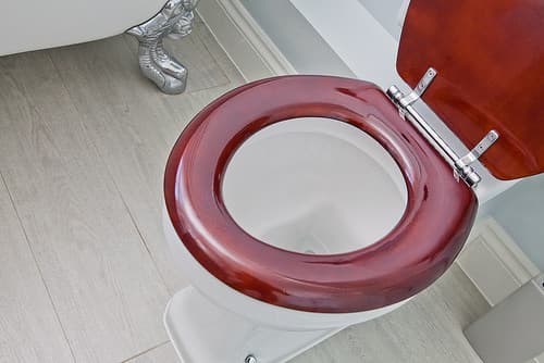 Mahogany Toilet Seat - Professional plumbing work by Rosebourne Plumbing