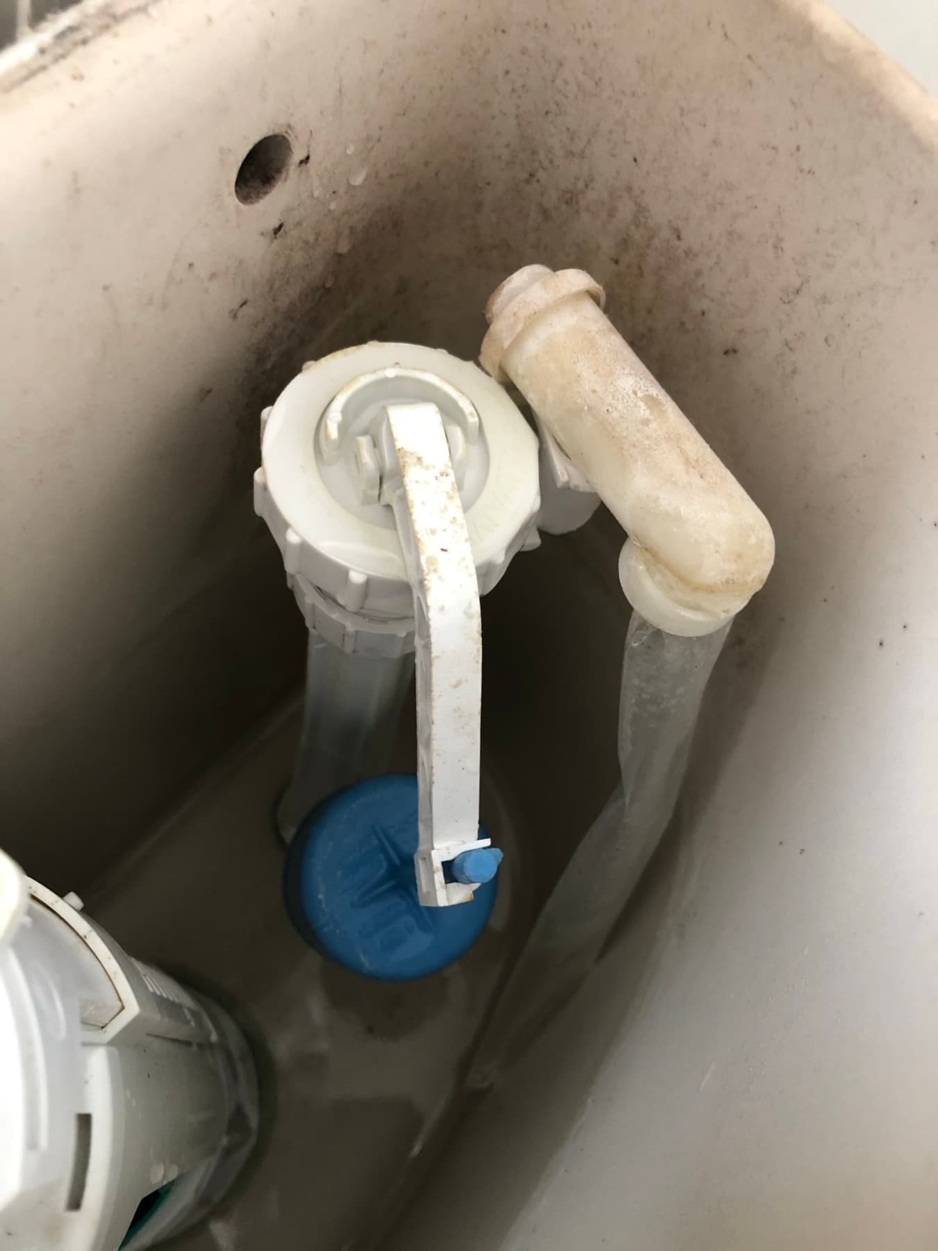 An older cistern with a scaled-up siphon and float — what hard water does inside a cistern
