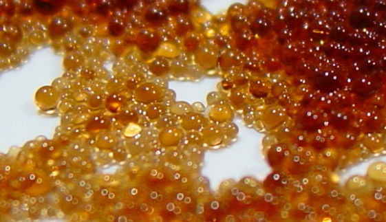 Ion exchange resin beads used in water softeners