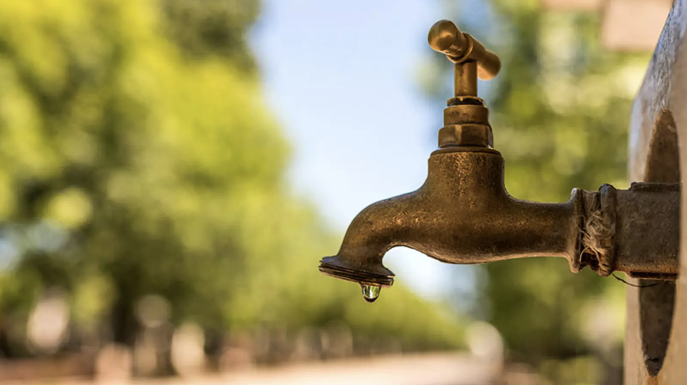 Professional outside tap installation services by Rosebourne Plumbing